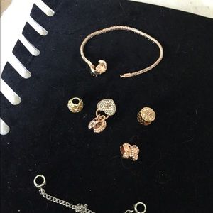 European and Pandora charms
